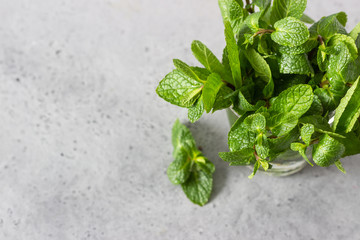 Mint. Bunch of fresh green organic mint, spearmint, peppermint leaves. Selective focus. Copy space.
