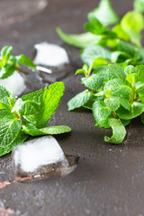 Fresh garden mint and ice cubes on old brown background. Copy space.