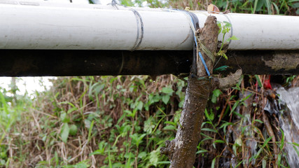 leaky water pipe