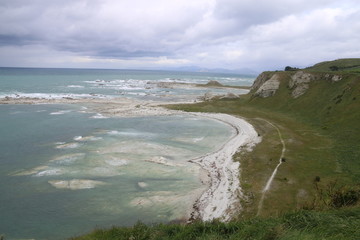 Coast in New Zealand
