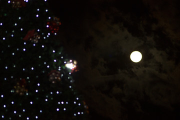 Luna llena © daniel