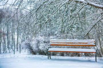 Park bench and trees covered by heavy snow