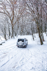 single car on a winter road in the forest