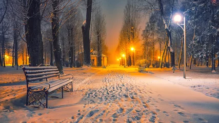 Foto auf Acrylglas Winter Winter evening in a central park.