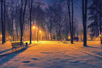 Winter evening in a central park.