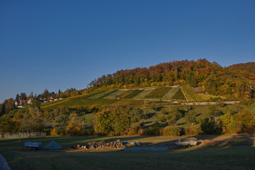 Ermitage Arlesheim	