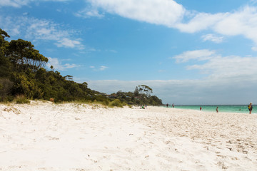 Endless white sand at Hyams Beach - the world's whitest beach - at Jervis Bay on a beautiful summer day with azure water (Jervis Bay, Australia)