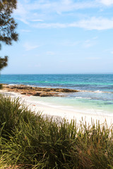 Grassy sand dunes at Hyams Beach - the world's whitest beach - at Jervis Bay on a beautiful summer...