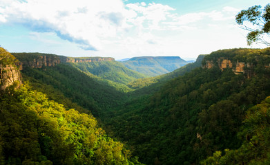 Obraz premium Illuminated green valley opposite to the Australian Fitzroy Falls in Morton National Park during early summer (Morton National Park, Australia)