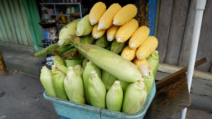 sweet corn ready to cook