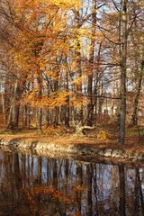 Herbstspiegelung