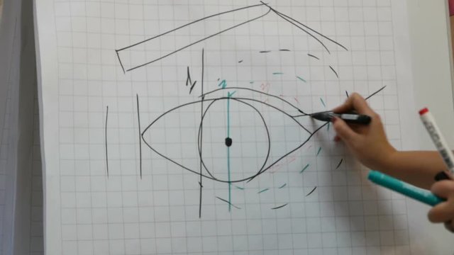 painted eye on big sheet with correct application arrows on the eye. teacher visagiste teaches students to applying makeup on the eyes at master class in beauty school