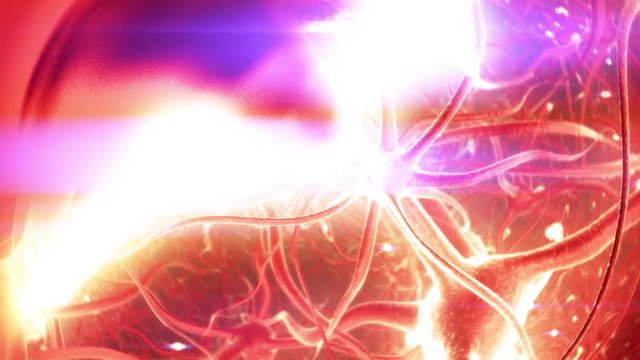 Neural Signal Transmission, Brainstorm. The dendrites transmit electrical stimulation received from other neurons to the cell body or the soma. Axon, the part of the neuron, that transmits signals.