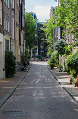 Fototapeta na wymiar green residential street - amsterdam