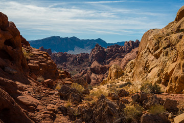 Rocky colorful landscape in Valley of Fire State Park, NV