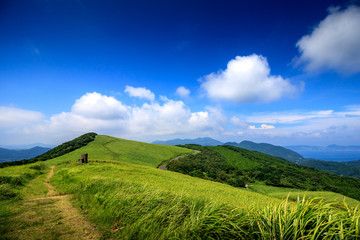 Fototapeta premium 川内峠＠長崎県平戸市