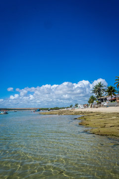 Beaches of Brazil - Praia do Franc&ecirc;s - Marechal Deodoro, Alagoas state