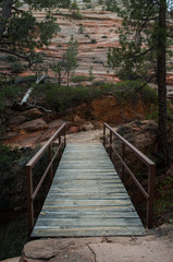Obraz premium Bridge along hiking trail in Zion National Park