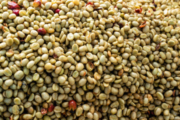 White coffee beans Arabica coffee;