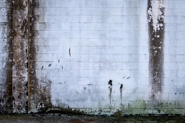 Old Concrete Wall With Stains and Mold