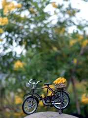 Fototapeta premium bicycle toy with yellow daisy flower in park green filed background 
