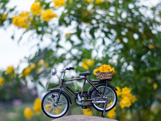 Fototapeta na wymiar bicycle toy with yellow daisy flower in park green filed background 