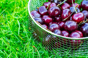 Ripe cherry on background of green grass