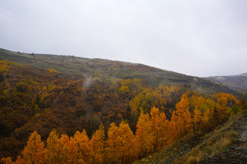 The seasonal  view of Havadorik Valley (derecik), Mus, Turkey