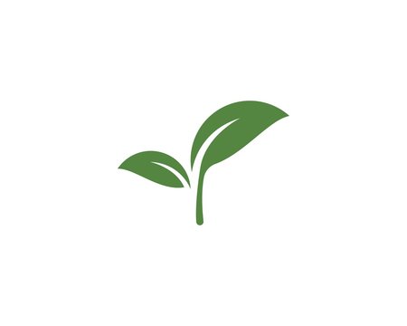 green leaf ecology nature element