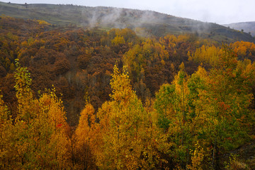 The seasonal  view of Havadorik Valley (derecik), Mus, Turkey