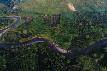 Aerial view tropical forest with river in morning with fog