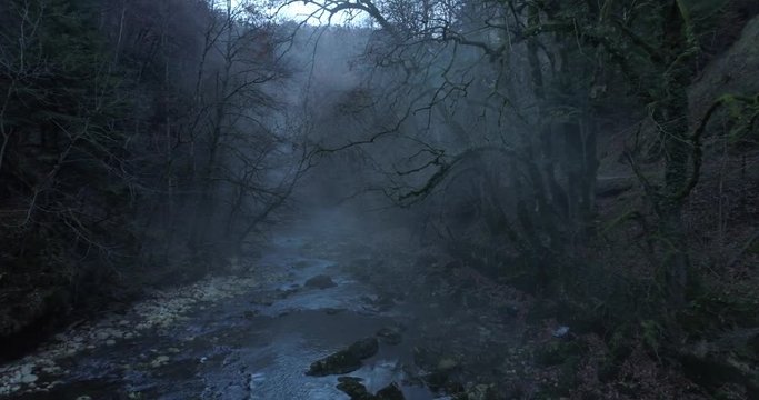 Haunted forest - Aerial 4K