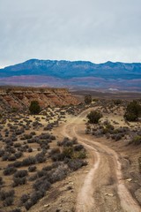 Scenic off-road trail in Southern Utah desert (vertical)