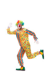 Funny clown isolated on white background