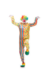 Funny clown isolated on white background