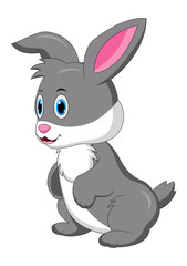 Cute rabbit cartoon