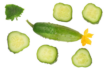 slices of cucumber isolated on white background