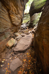 Fototapeta na wymiar Cove rocks of Ritchie Ledges in Cuyahoga Valley National Park.