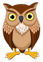 Cute owl cartoon 