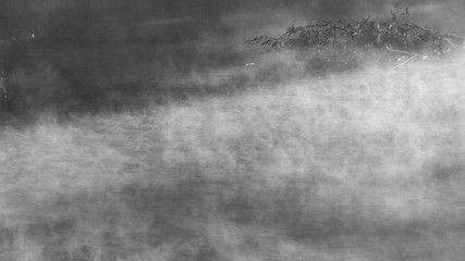 First rays of sunlight in a nature reserve- Israel