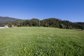 Obraz premium Autumn Austria Alpha