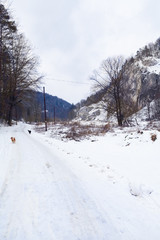 A touristic trail in Ojc&oacute;w, Cracow, Poland. Winter's landscape.