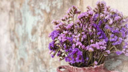 dried pink and purple statice flowers in a ceramic pot with vintage painted concrete wall for indoor decoration