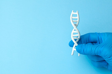 DNA helix research. Concept of genetic experiments on human biological code DNA. Scientist holds DNA helix. - obrazy, fototapety, plakaty