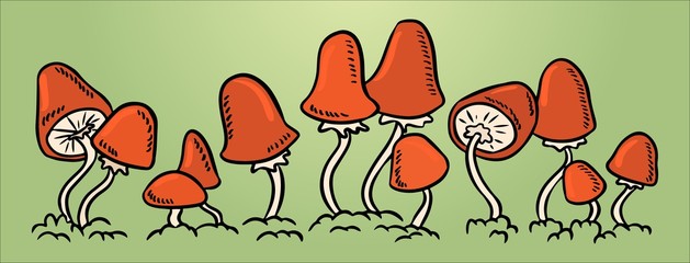 Red mushrooms in a line. Vector colorful illustration