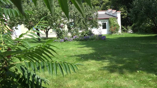 man start lawn cutter and push near flower bed. View through leaves. 4K