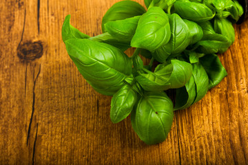 Basil