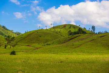 Naklejka premium Green grass mountain or Phu Khao Ya unseen of ranong province southern thailand
