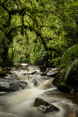 Obraz premium OLYMPUS DIGITAL CAMERA