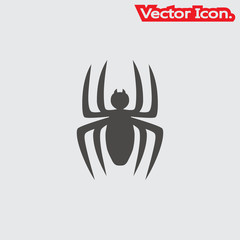 Spider icon isolated sign symbol and flat style for app, web and digital design. Vector illustration.